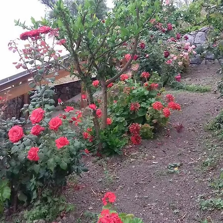 Hotel apartamentowy Irida 2*